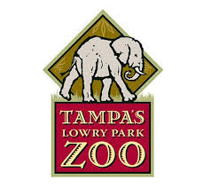 Lowry park zoo